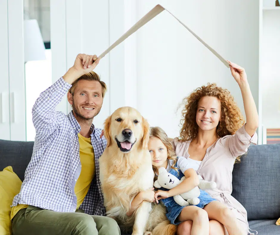 jaka jest prowizja za pośrednictwo w handlu